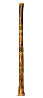 Rope & Burnt Finish Didgeridoo (TW492)
